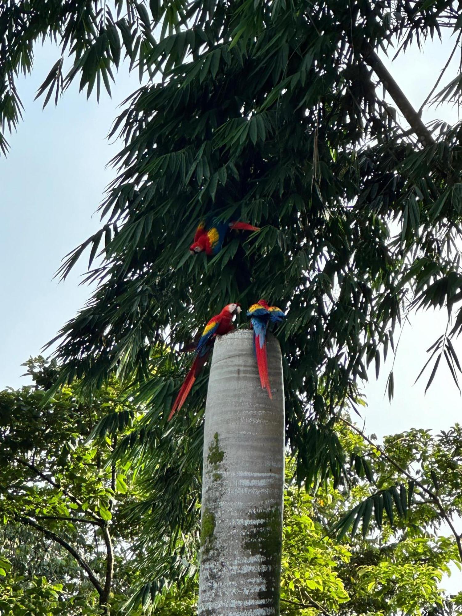 Hospedaje Colibri Manuel Antonio Extérieur photo